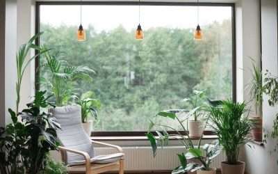 2 5 Consejos para una Decoración Eco-Amigable en tu Hogar